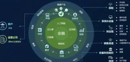 比特币交易所行情全景扫描，全球市场动态与价格解析